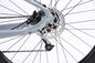 Vélo électrique léger d'alliage d'aluminium avec le gris électrique de vélo de montagne de batterie démontable et de contrôle intelligent fournisseur